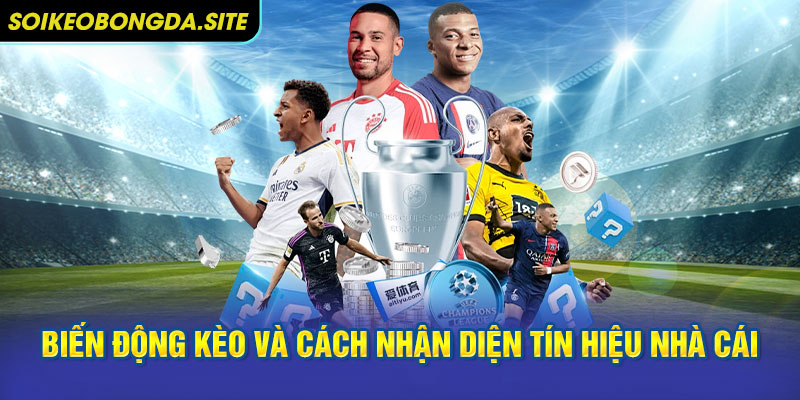 Biến động kèo và cách nhận diện tín hiệu nhà cái