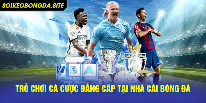 ca cuoc dang cap tai nha cai bong da Danh sách trò chơi cá cược đẳng cấp tại nhà cái bóng đá