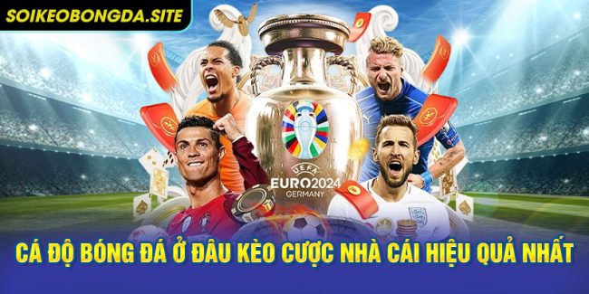 Cá độ bóng đá ở đâu kèo cược nhà cái hiệu quả nhất