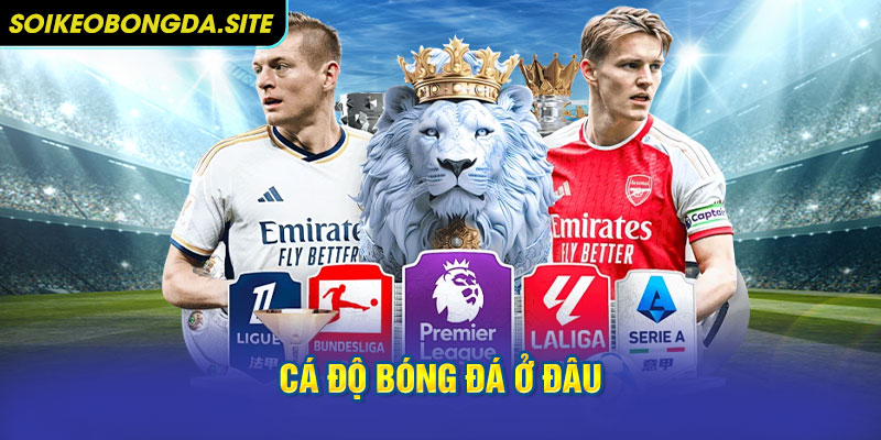 ca do bong da o dau Giới thiệu vài thông tin khái quát về cá độ bóng đá ở đâu