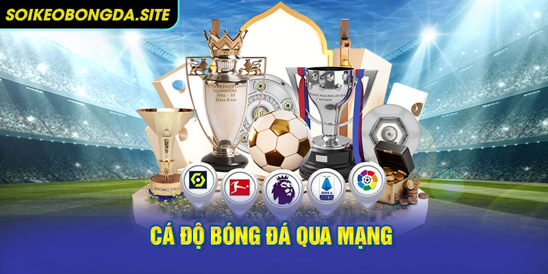 ca do bong da qua mang Cá độ bóng đá qua mạng tại trang cá độ bóng đá mang lại cơ hội