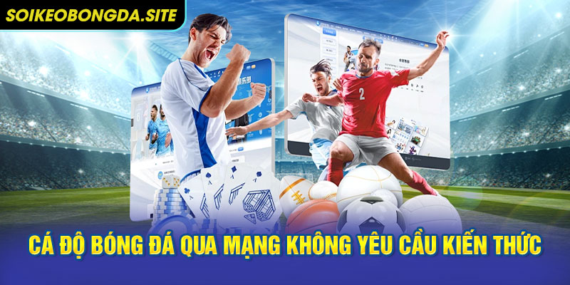 ca do bong da quan mang k can nhieu kien thuc Những kèo cá độ bóng đá qua mạng không yêu cầu quá nhiều kiến thức