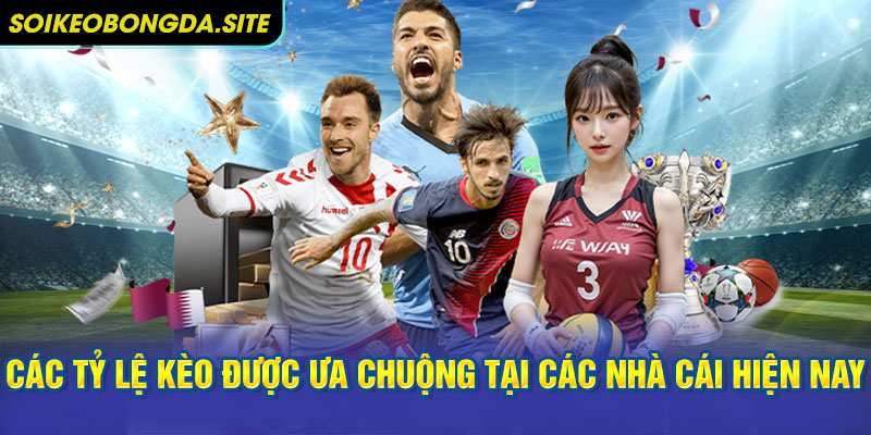 Các tỷ lệ kèo được ưa chuộng tại các nhà cái hiện nay