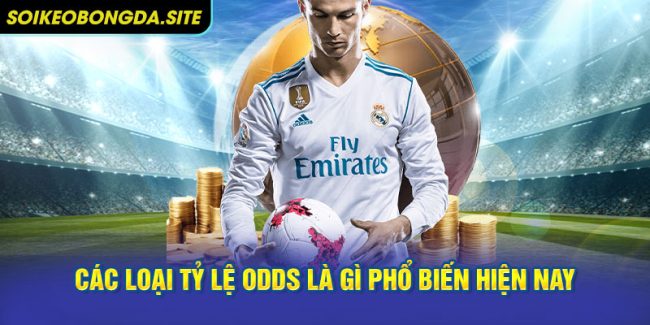 Các loại tỷ lệ Odds là gì phổ biến hiện nay