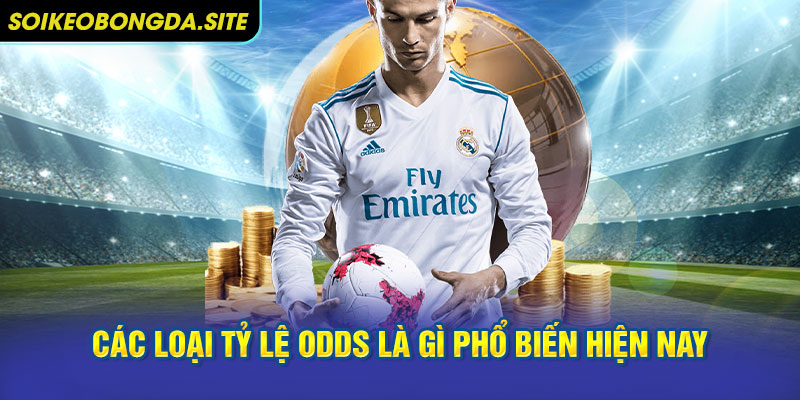 cac ty le odds pho bien Các loại tỷ lệ Odds là gì phổ biến hiện nay