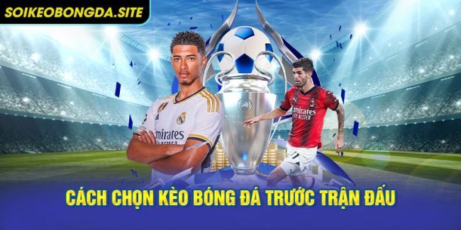 Phân tích thông tin cách chọn kèo bóng đá trước trận đấu