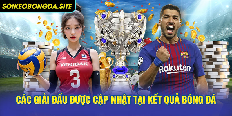cap nhat ket qua cac giai dau Các giải đấu được cập nhật tại chuyên mục kết quả bóng đá