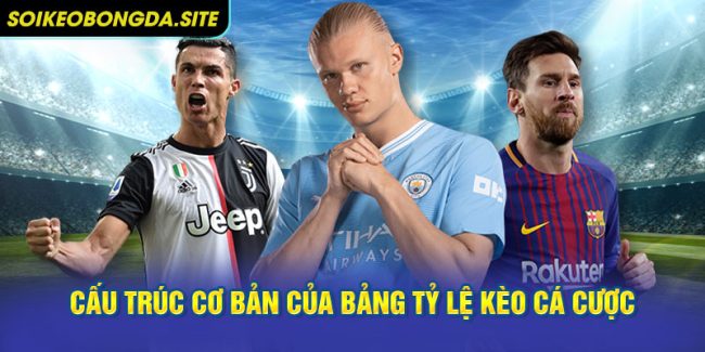 Cấu trúc cơ bản của bảng tỷ lệ kèo cá cược