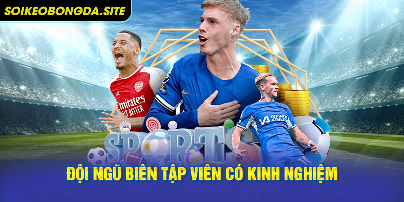 Chuyên trang về chúng tôi bởi đội ngũ biên tập viên có kinh nghiệm