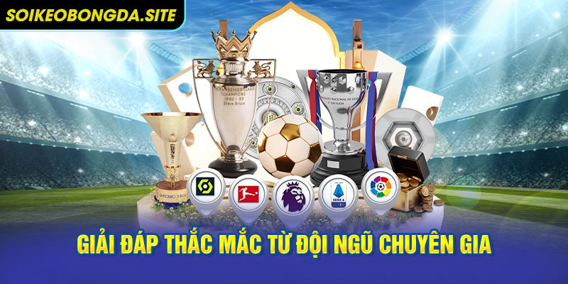 Giải Đáp Thắc Mắc Từ Đội Ngũ Chuyên Gia
