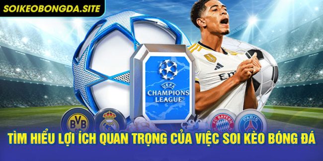 Tìm hiểu lợi ích quan trọng của việc soi kèo bóng đá