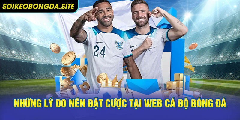 ly do nen dat cuoc Những lý do khiến bạn nên đặt cược tại web cá độ bóng đá
