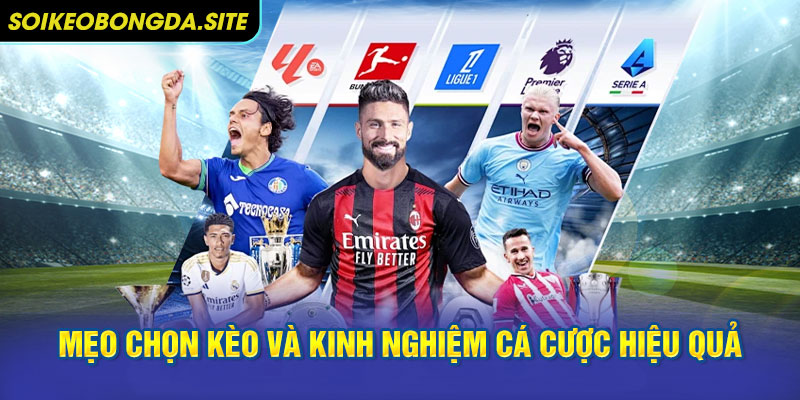 Mẹo Chọn Kèo Và Kinh Nghiệm Cá Cược Hiệu Quả