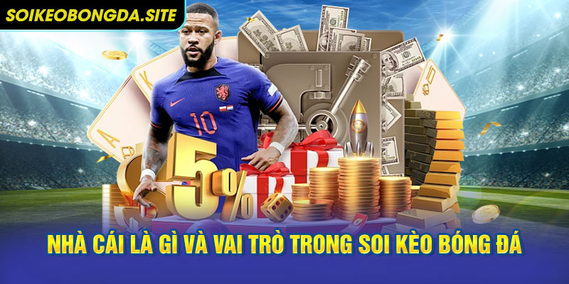 Nhà cái là gì và vai trò trong soi kèo bóng đá