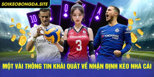 Một vài thông tin khái quát về nhận định kèo nhà cái