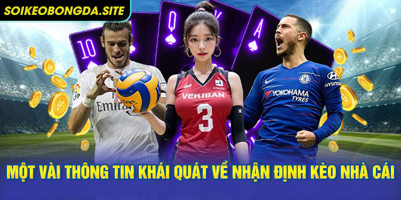 Một vài thông tin khái quát về nhận định kèo nhà cái