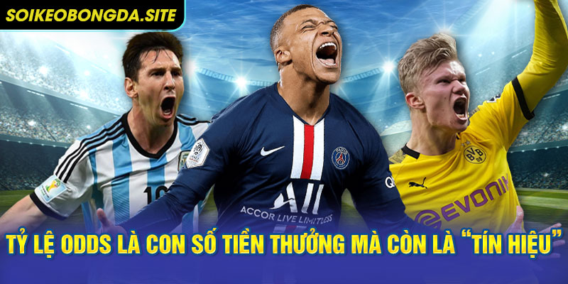 odds la tin hieu Tỷ lệ Odds là gì không chỉ là con số tiền thưởng mà còn là “tín hiệu”