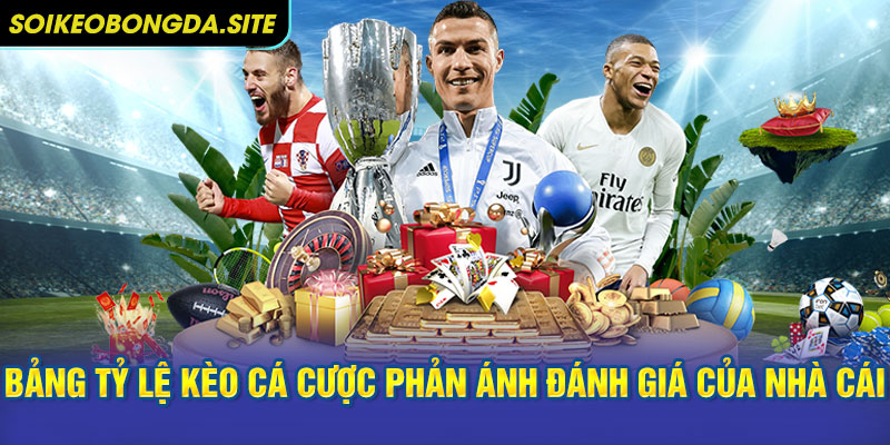 phan anh danh gia cua nha cai Bảng tỷ lệ kèo cá cược chỉ là công cụ phản ánh đánh giá của nhà cái
