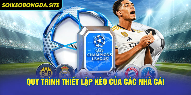 Quy Trình Thiết Lập Kèo Của Các Nhà Cái
