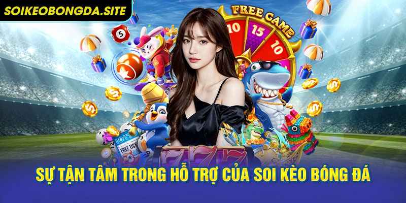 Sự tận tâm trong hỗ trợ chính là yếu tố giúp chuyên trang 