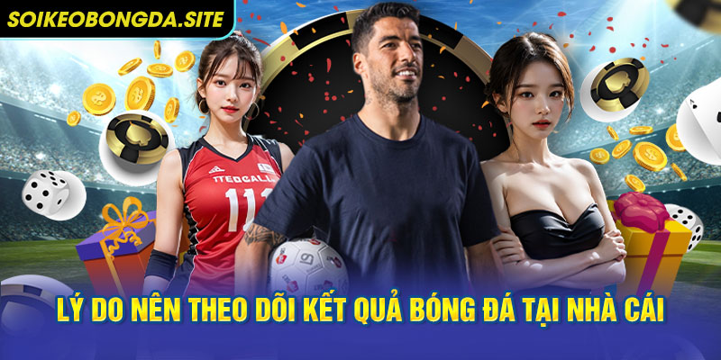 theo doi ket qua bong da tai nha cai Lý do nên theo dõi kết quả bóng đá tại nhà cái