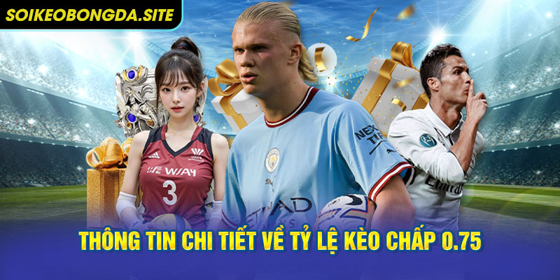 thong tin chi tiet keo 0 75 Thông tin chi tiết về tỷ lệ kèo chấp 0.75