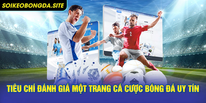 Tiêu chí đánh giá một trang cá cược bóng đá uy tín