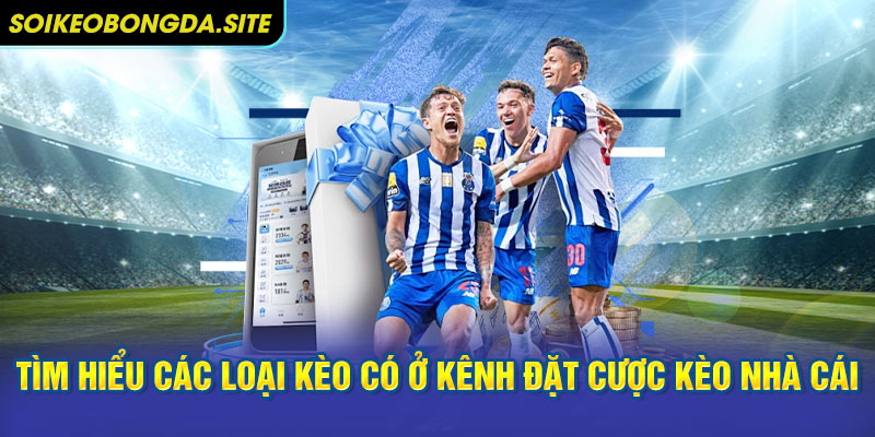 tim hieu cac loai keo cuoc nha cai Tìm hiểu các loại kèo có ở kênh đặt cược kèo nhà cái