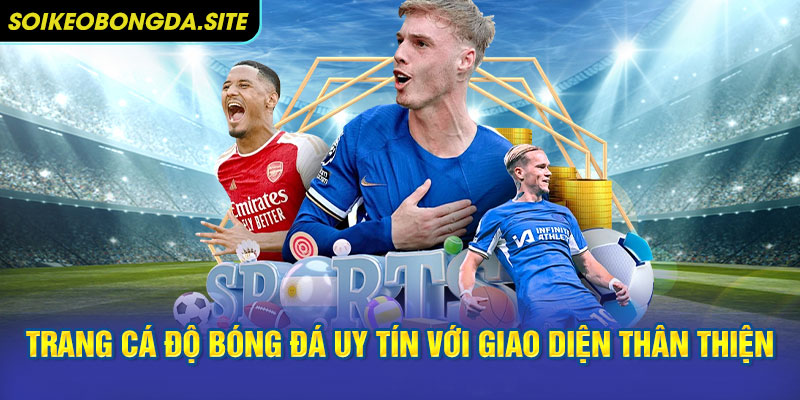 trang ca do bong da uy tin Trang cá độ bóng đá uy tín với giao diện thân thiện