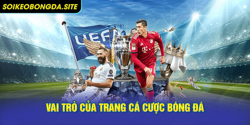 Vai trò của trang cá cược bóng đá