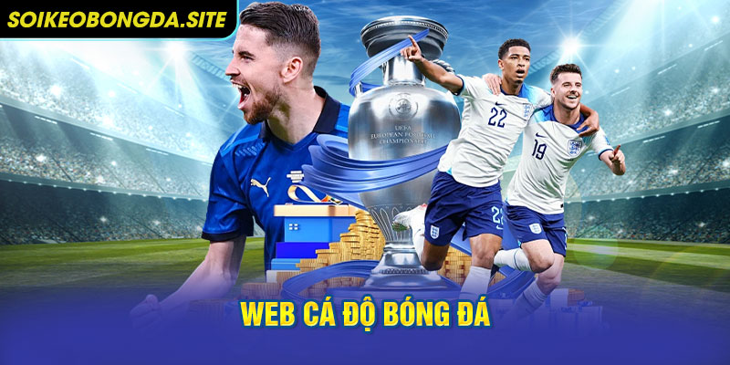 web ca do bong da Tổng quan một vài kiến thức quan trọng về web cá độ bóng đá